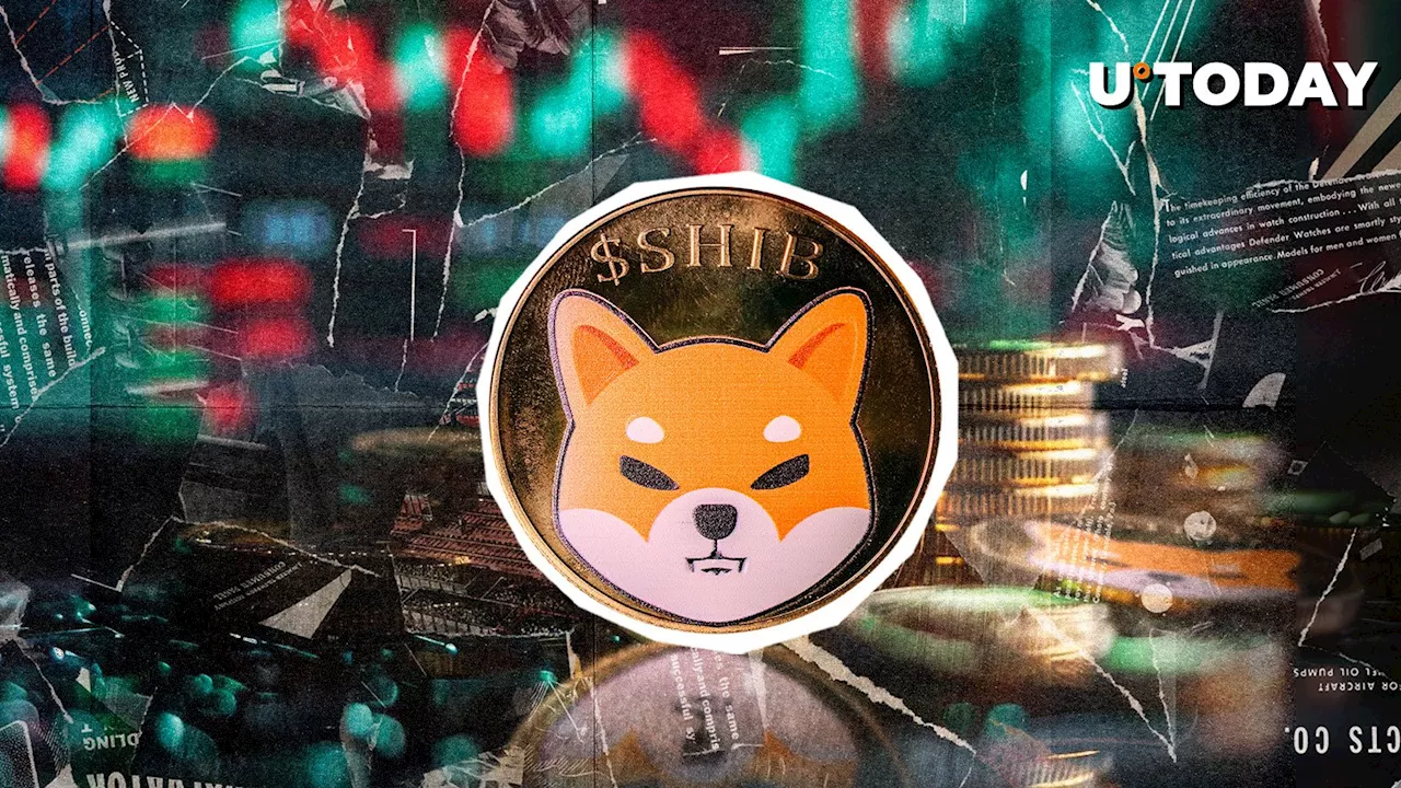 11 Trillion Shiba Inu (SHIB) in 24 Hours: What to Expect