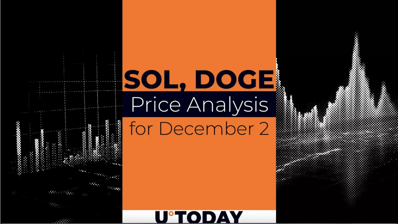 SOL and DOGE Price Prediction for December 2