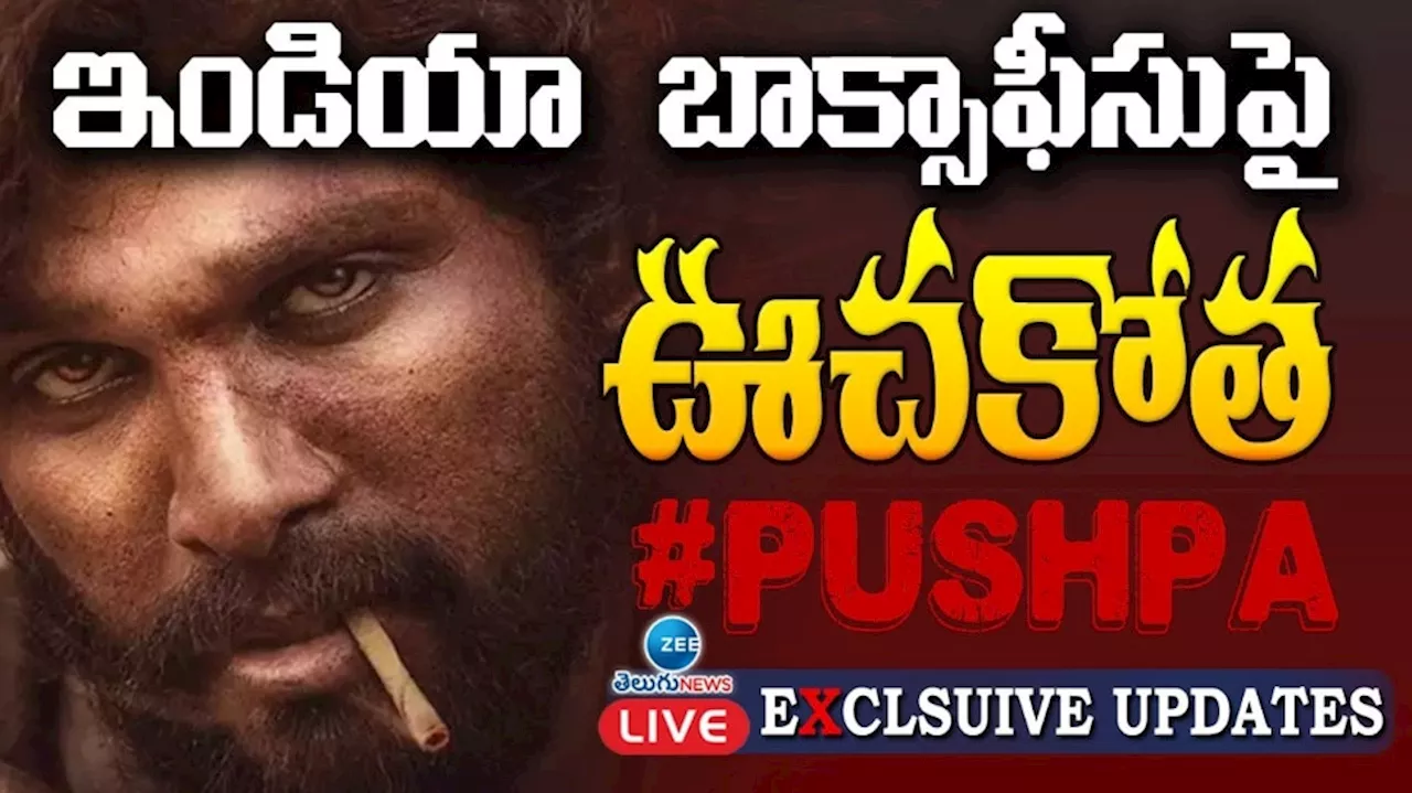 Pushpa 2 Day 1 WW Box Collections: ఇండియా బాక్సాఫీస్ పై పుష్ప 2 వైల్డ్ పైర్ ఊచకోత.. రికార్డుల రప రప..