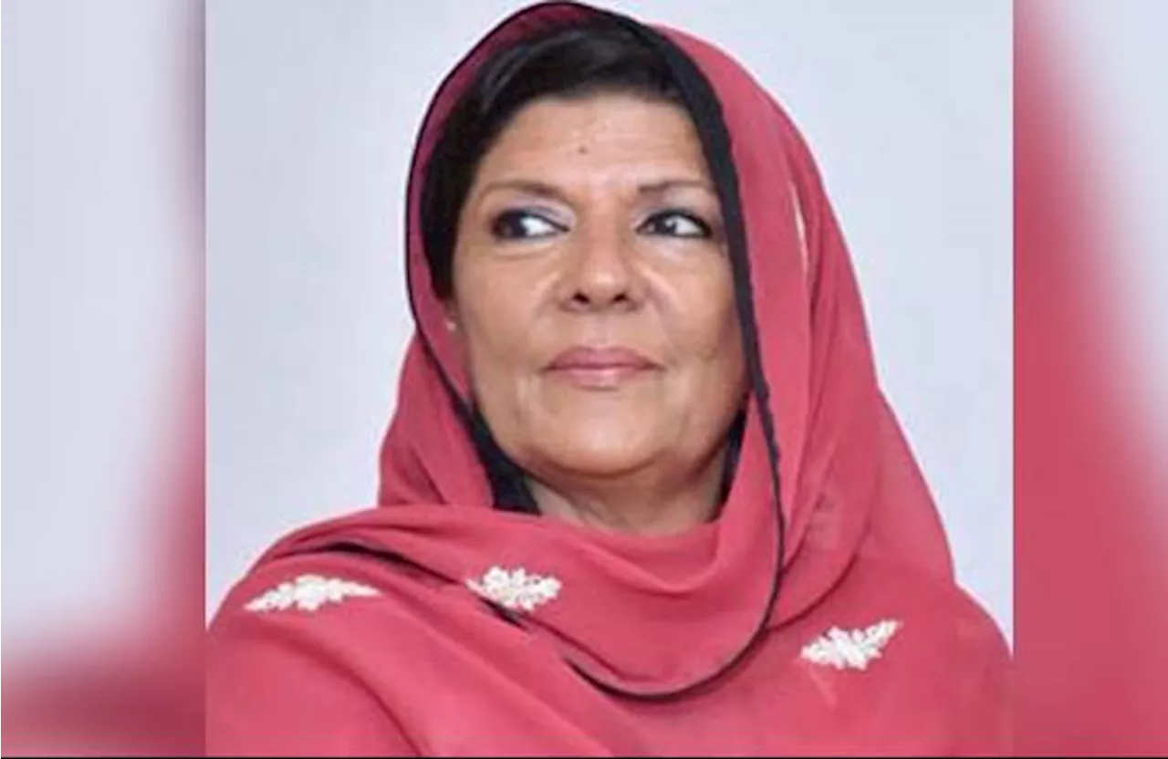 Aleema Khan says govt asked PTI to hold sit-in at Sangjani for her brother’s release