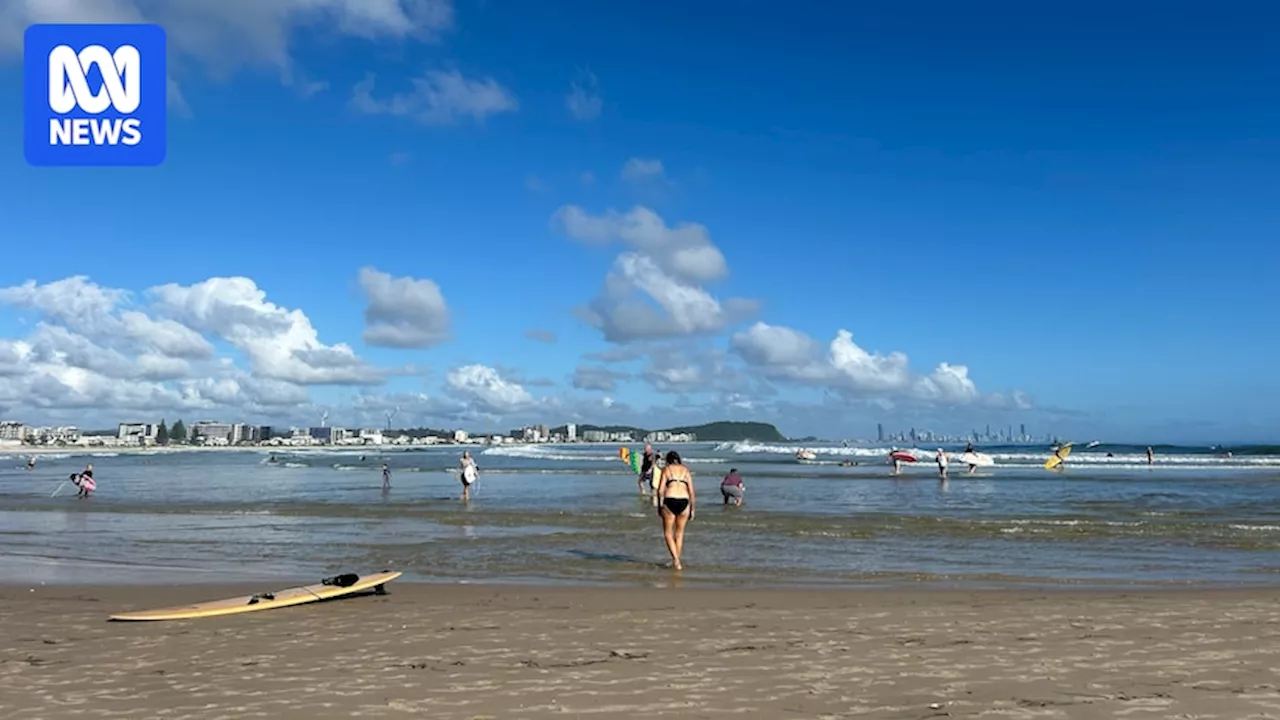 Authorities concerned boardriders versus boat collisions more common as Currumbin crowds swell