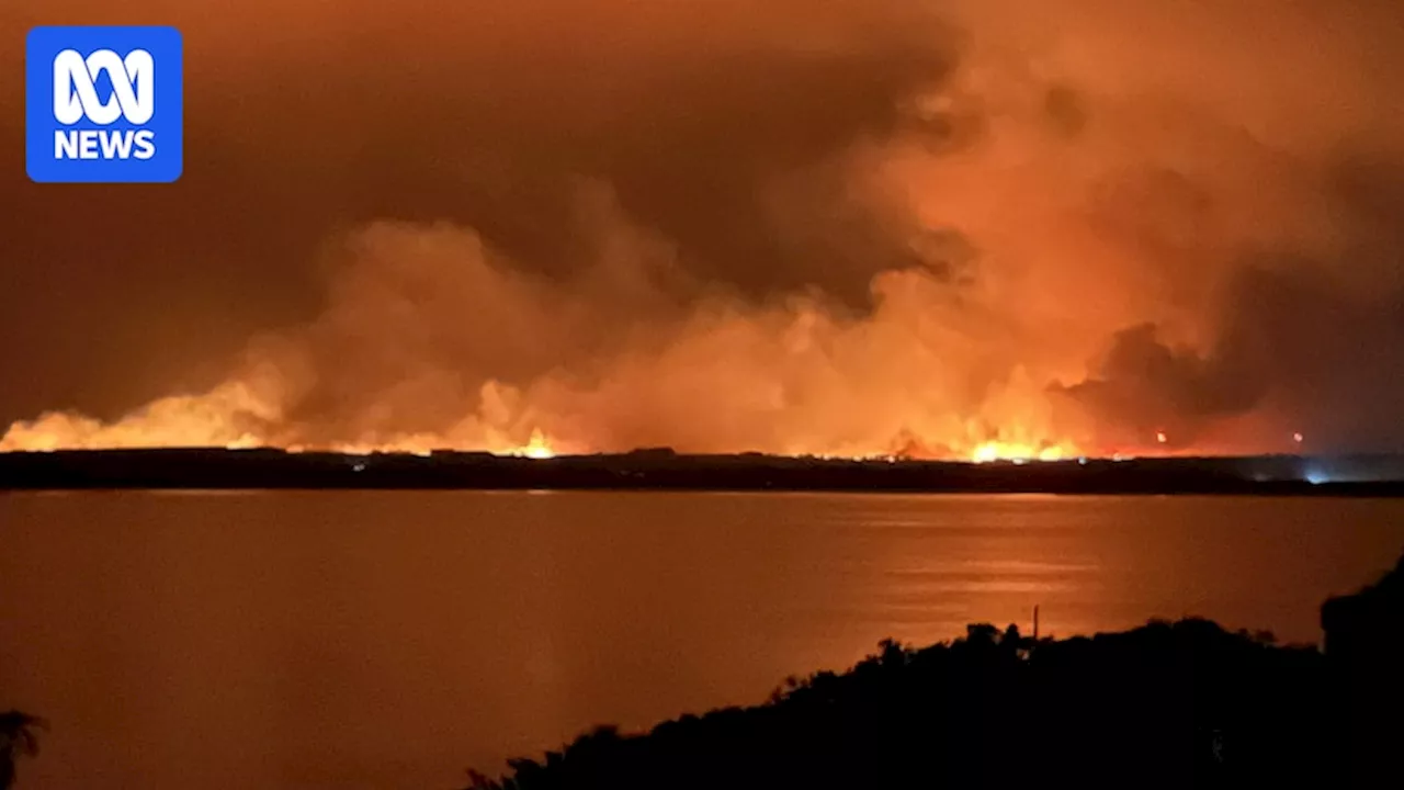 First day of summer bushfires damages iconic Helms Arboretum in WA