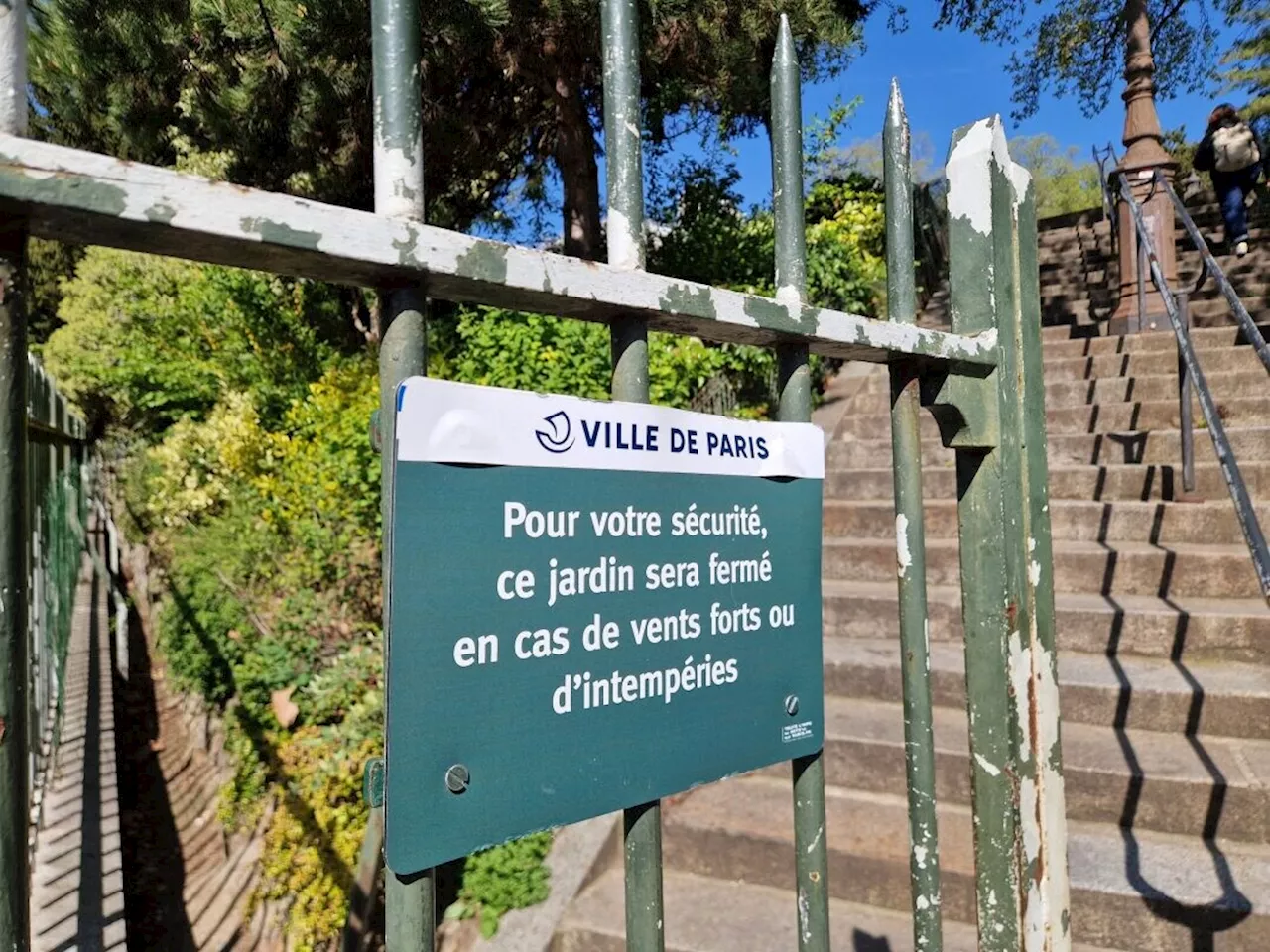 Tempête Darragh à Paris : Plusieurs Parcs Fermés, Un Appel à La ...