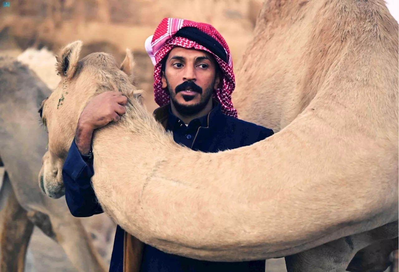 علاقة أبدية