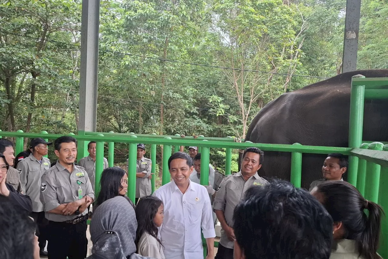 Menhut segera tambah peralatan dan dokter di Rumah Sakit Gajah