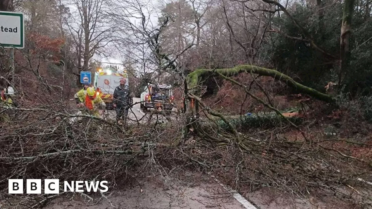 Damage and disruption as Storm Darragh hits South