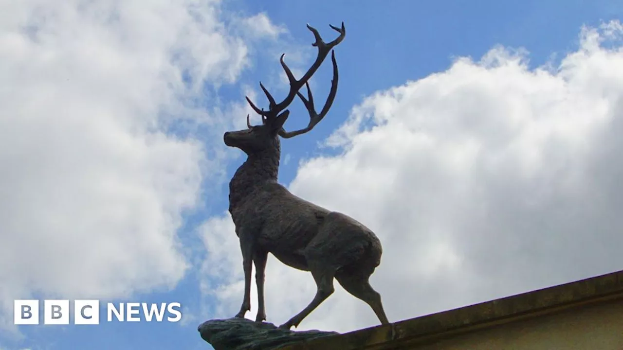 Stag statue taken from roof of Doncaster hotel