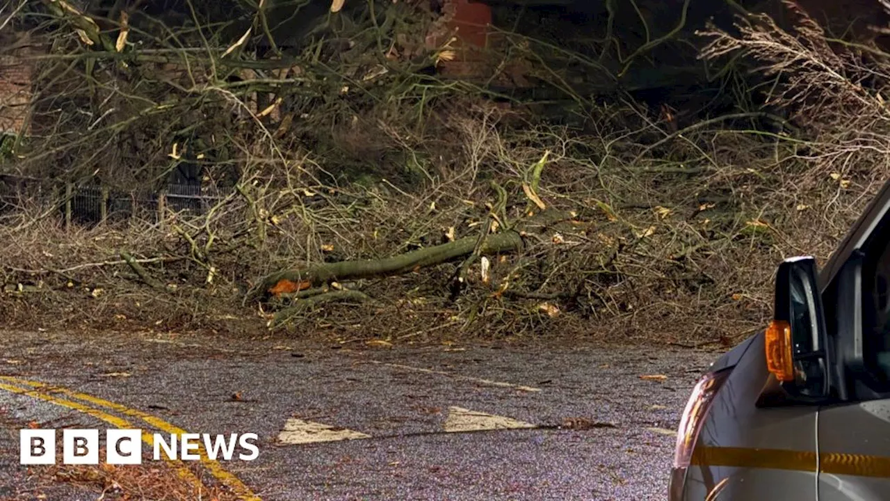 West Midlands: Markets and events off due to high winds