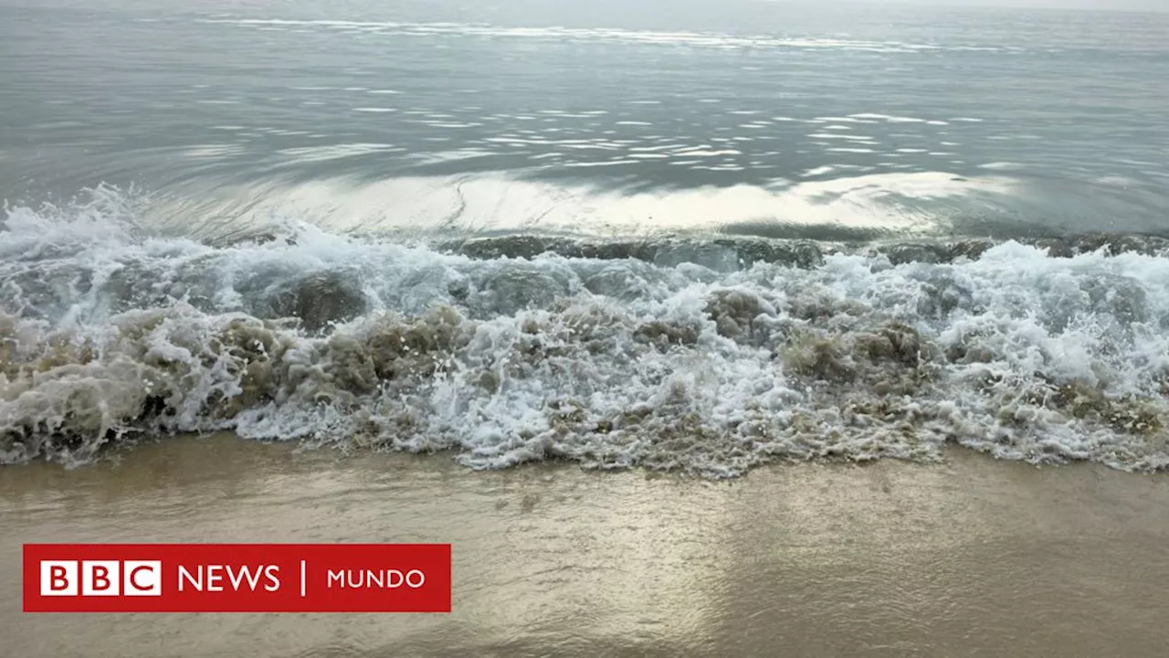 ¿Por qué el mar es salado si se alimenta mayormente de ríos de agua dulce?