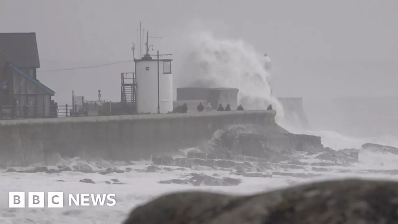 Downed trees and wild seas as Storm Darragh hits UK