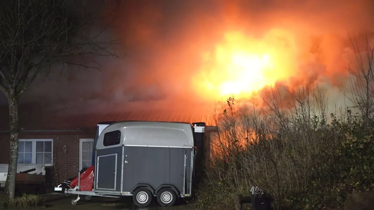 Dramatische Tier-Rettung auf Reiterhof: Pferd stirbt bei Großbrand