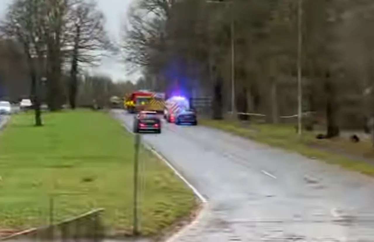 Van driver dies as Storm Darragh fells trees on Longton bypass