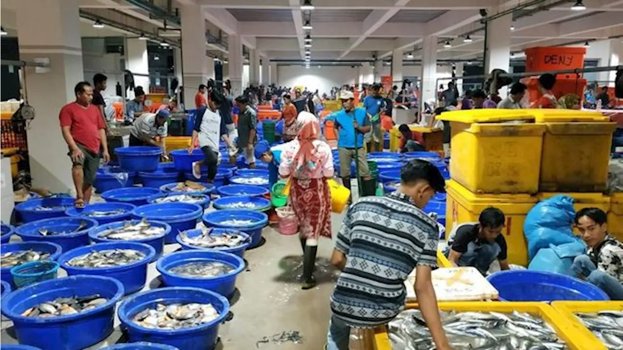 10 Ikan Dengan Kandungan Merkuri Tinggi, Wajib Cek Sebelum Beli