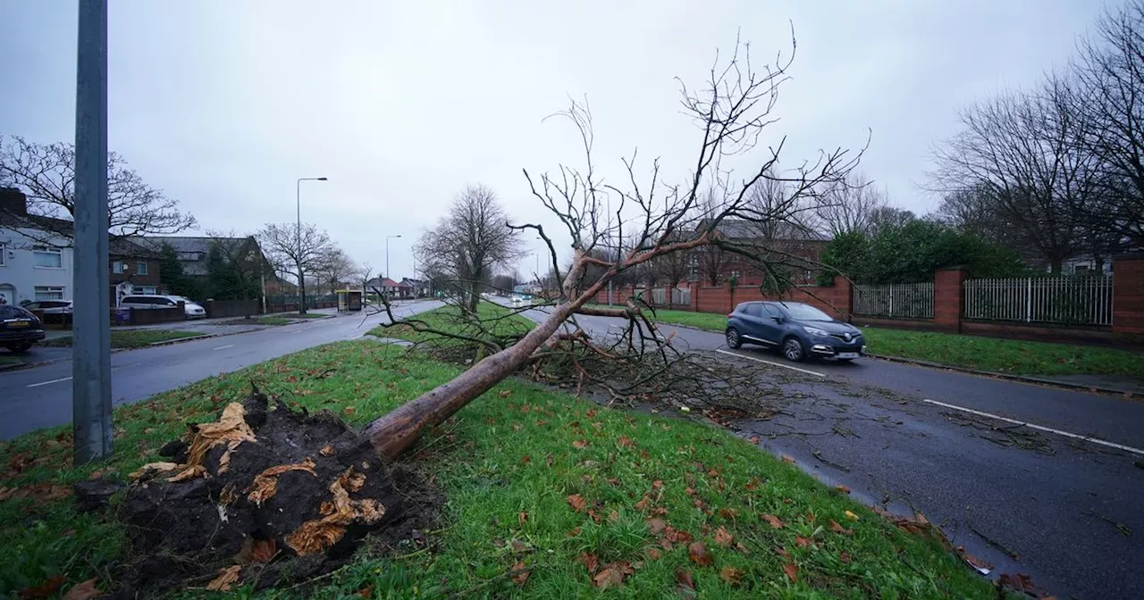 Storm Darragh with 93mph gusts triggers 'risk to life' warning and power cuts