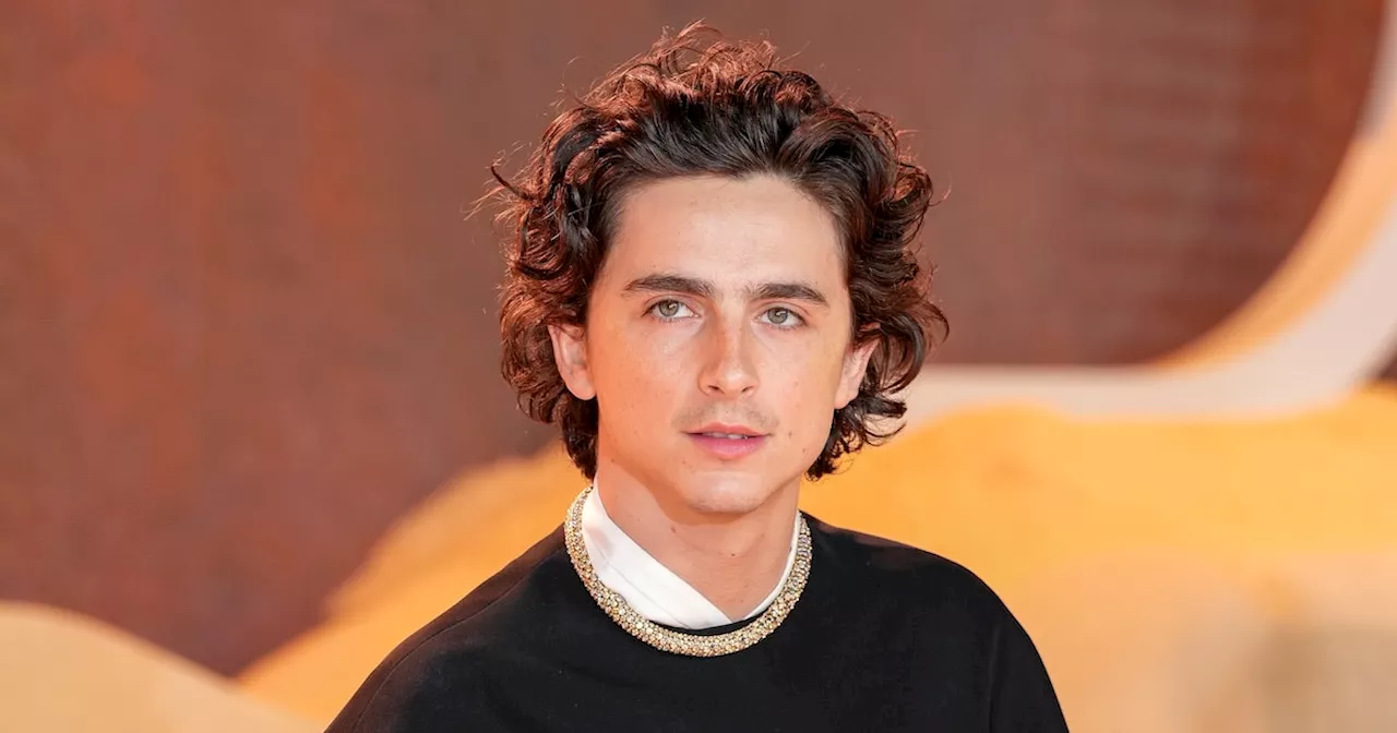 Timothée Chalamet picks 'favorite team' SMU to win ACC championship