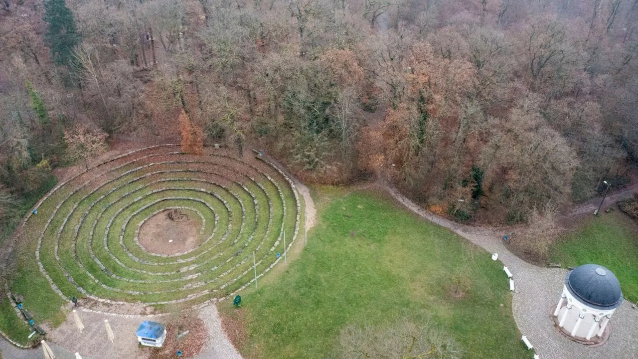 Auszeichnung für Wiesbaden: Das ist das »Waldgebiet des Jahres«