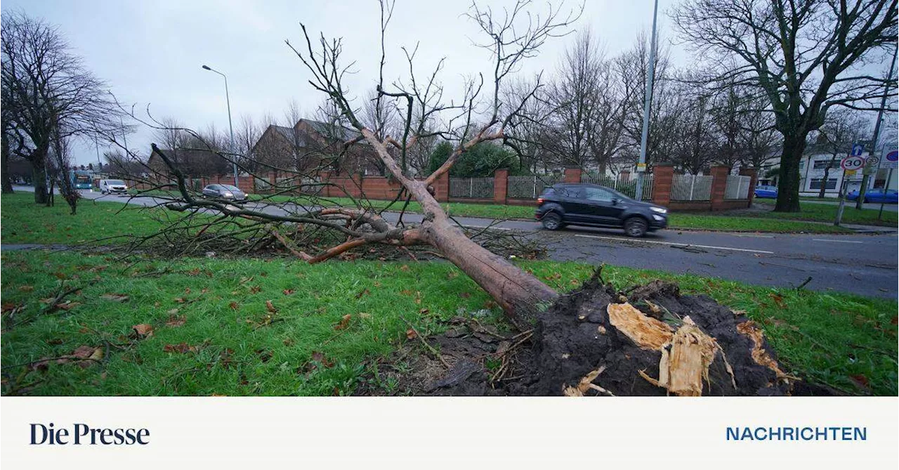 Sturm in GB fordert Todesopfer und unterbricht Stromversorgung