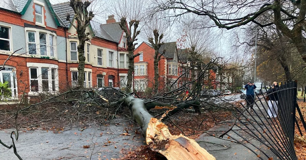 10 pictures as Storm Darragh wreaks havoc in Merseyside