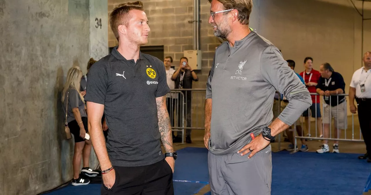 Marco Reus makes 'amazing' Anfield admission as Liverpool position revealed