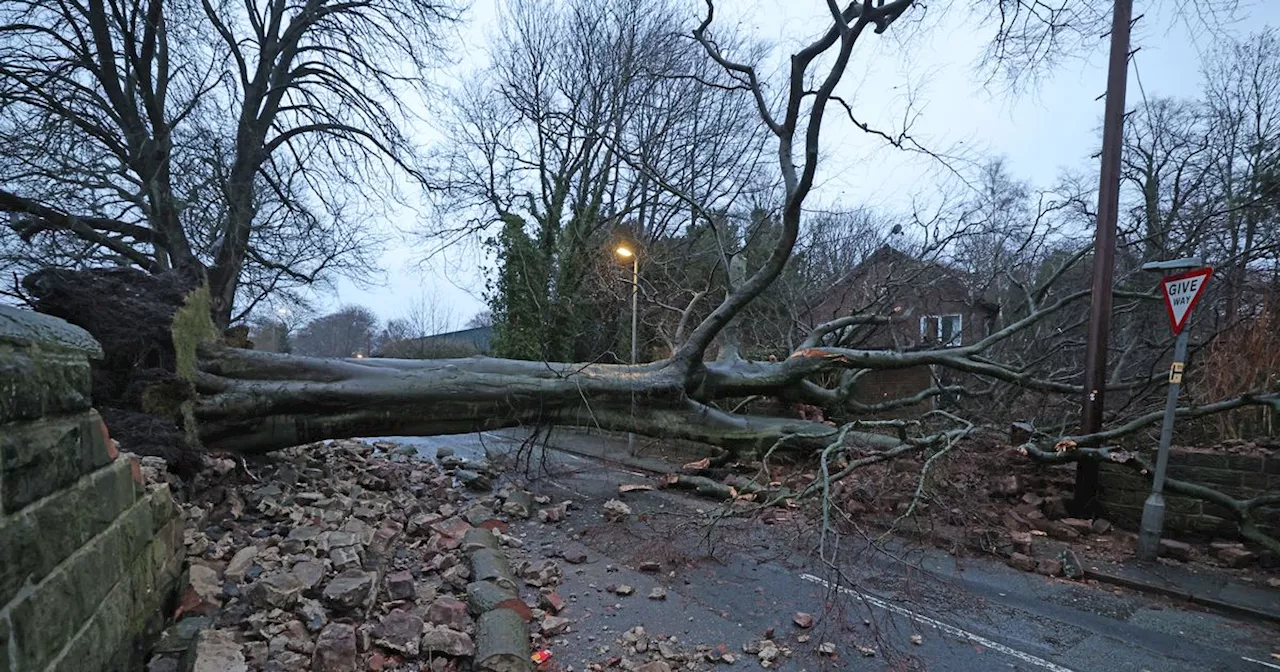 Met Office extends weather warning as strong wind set to continue