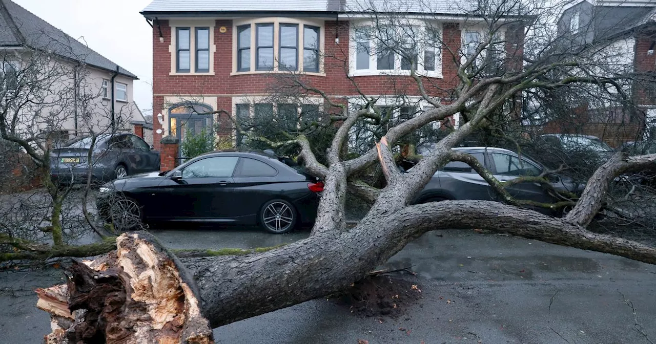 Storm Darragh major roads closed in England and Wales full list from National Highways