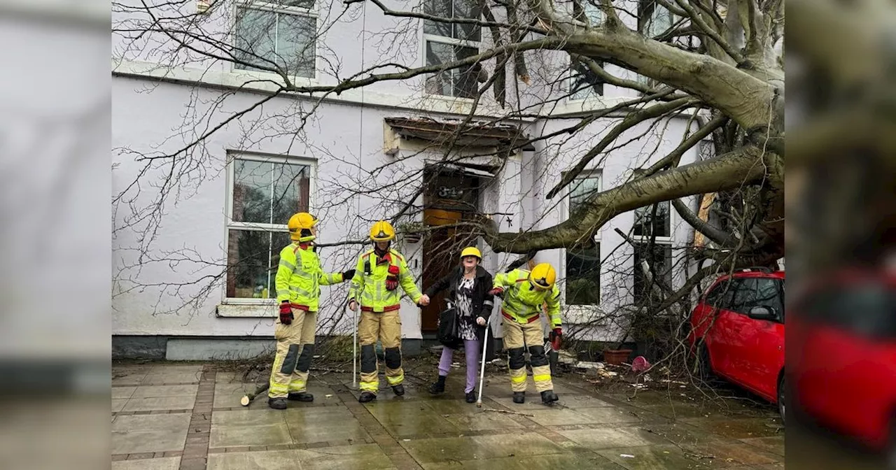 Woman 'terrified' after opening curtains during Storm Darragh