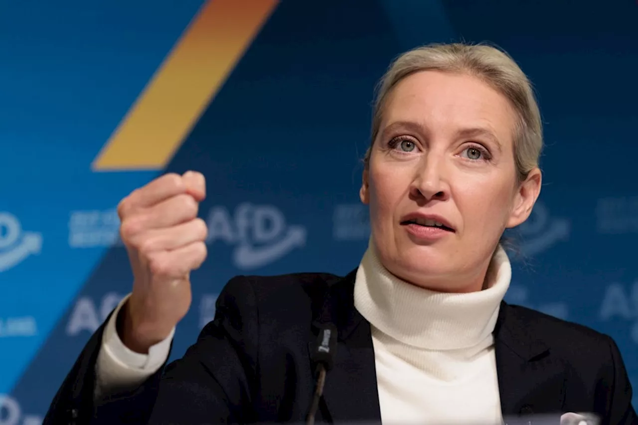 AfD setzt auf Weidel für den Wahlkampf