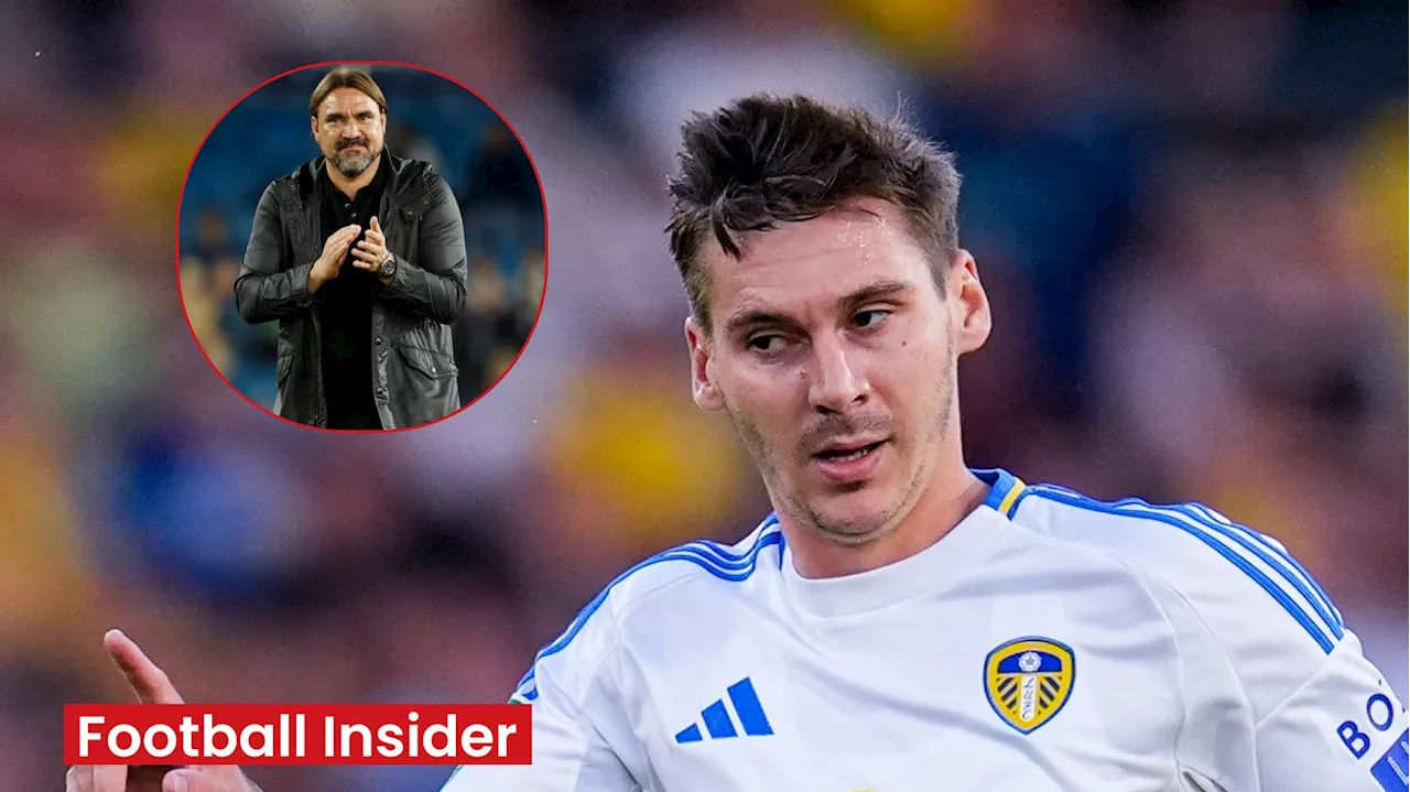 Daniel Farke to ‘start Max Wober from now on’: Leeds United fans ‘forgive’ spat