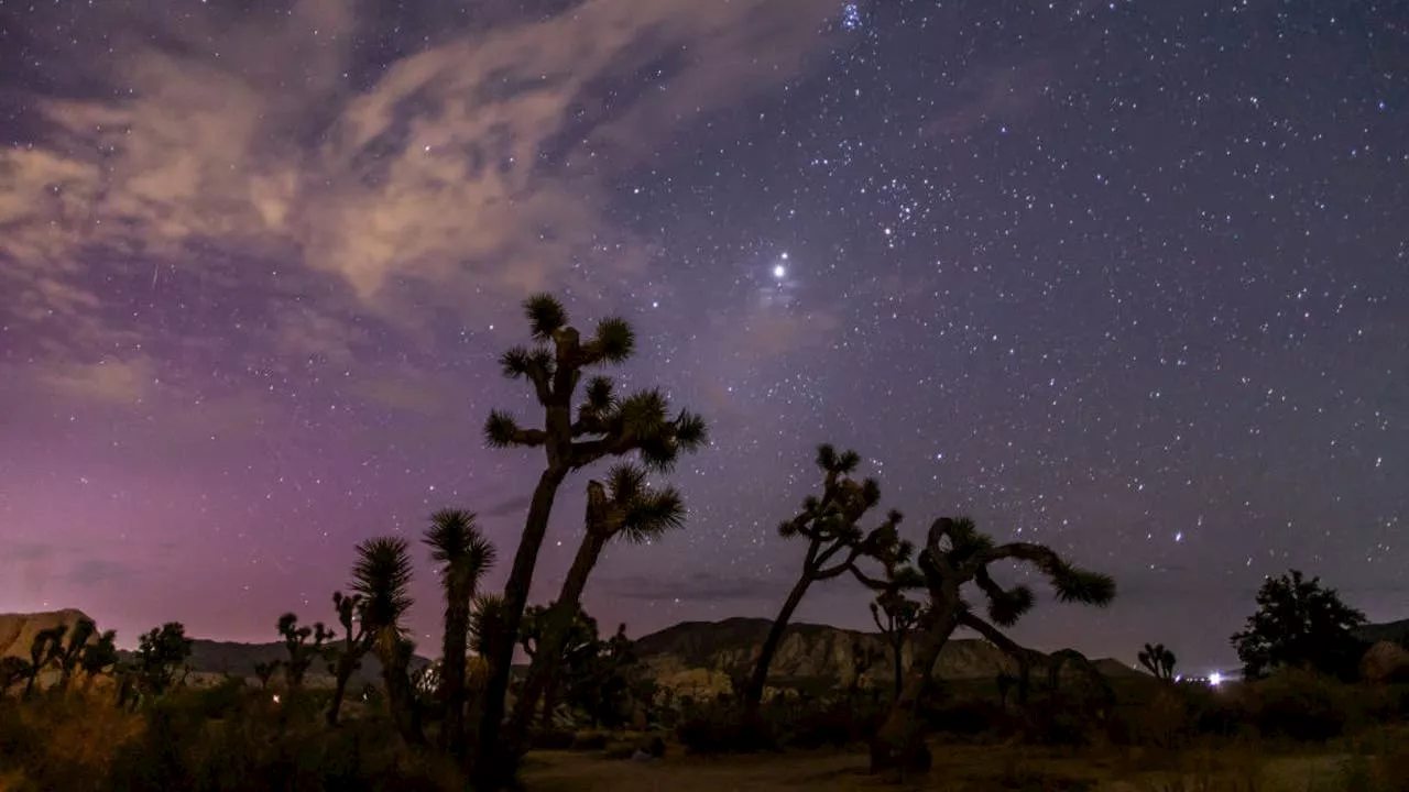 National parks will offer free admission on these six days in 2025