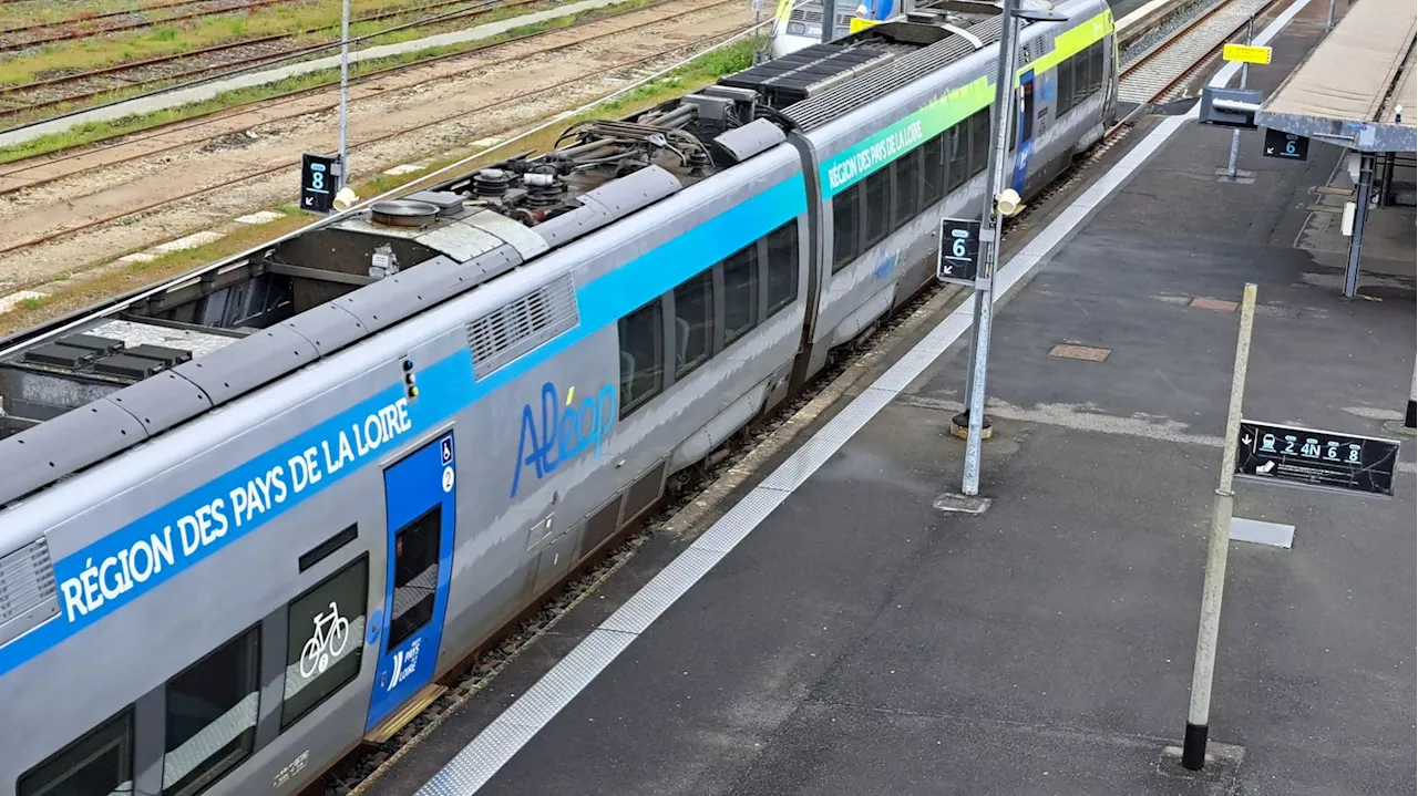 Tempête Darragh : trains supprimés et trafic perturbé sur le réseau SNCF