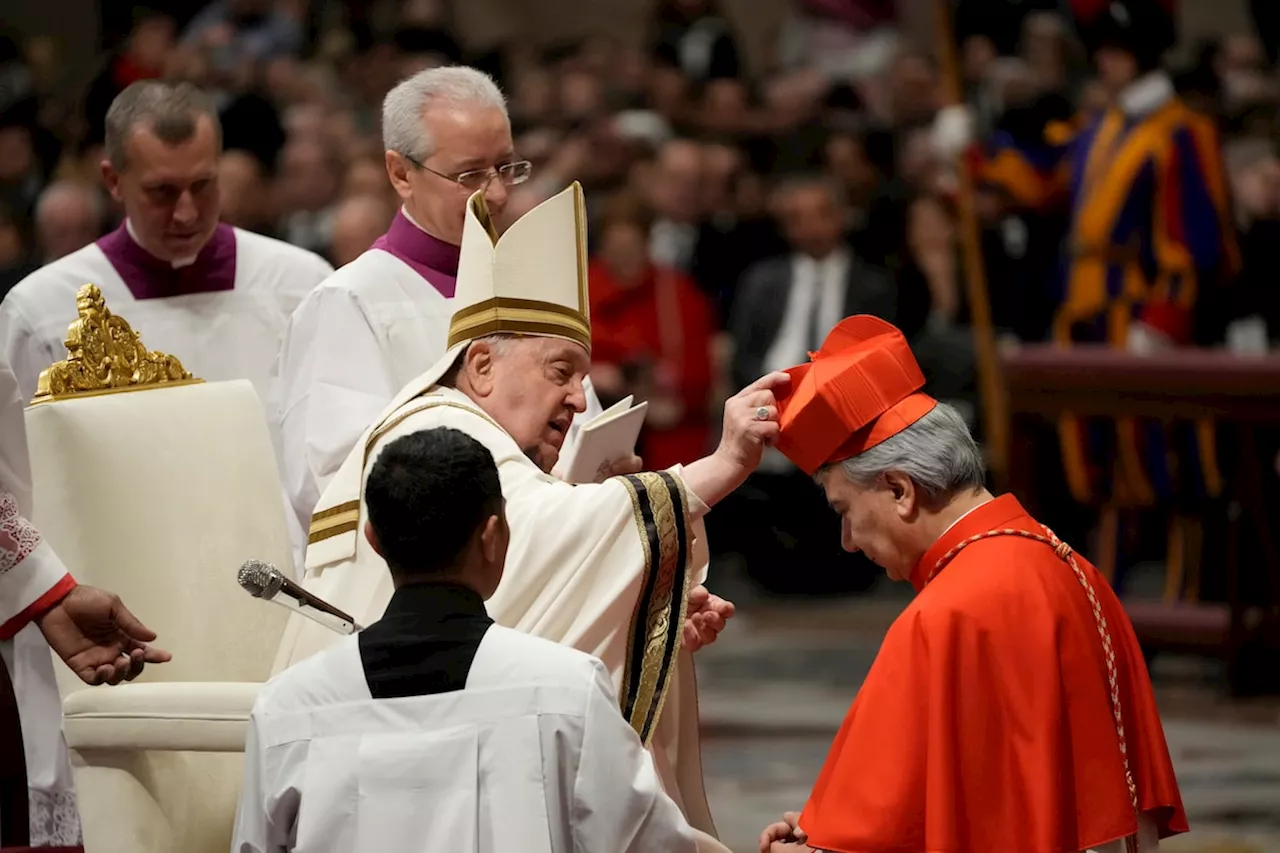 Pope Francis appears with bruised chin at ceremony for new cardinals