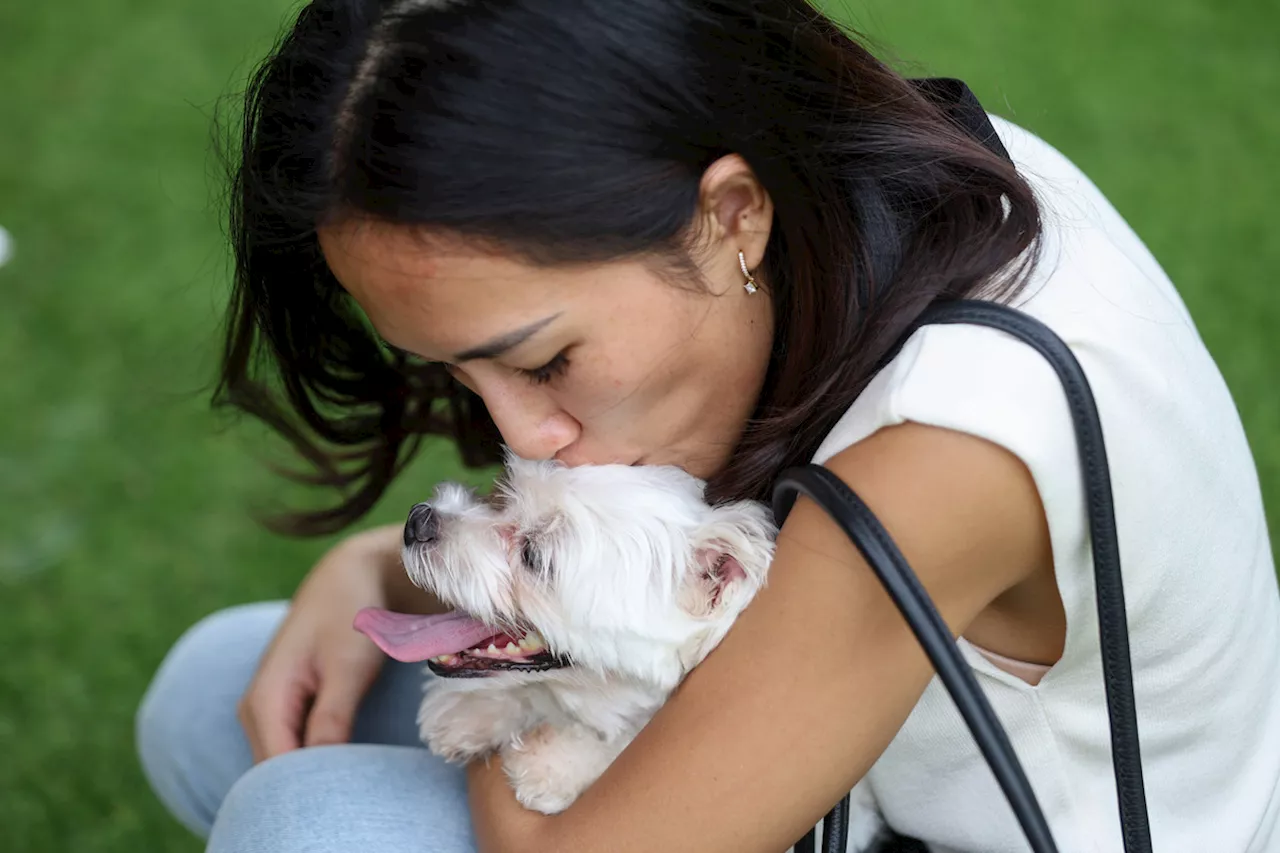 Penelitian Tunjukkan Hubungan Manusia dan Anjing Terjalin Sejak 12.000 Tahun Lalu