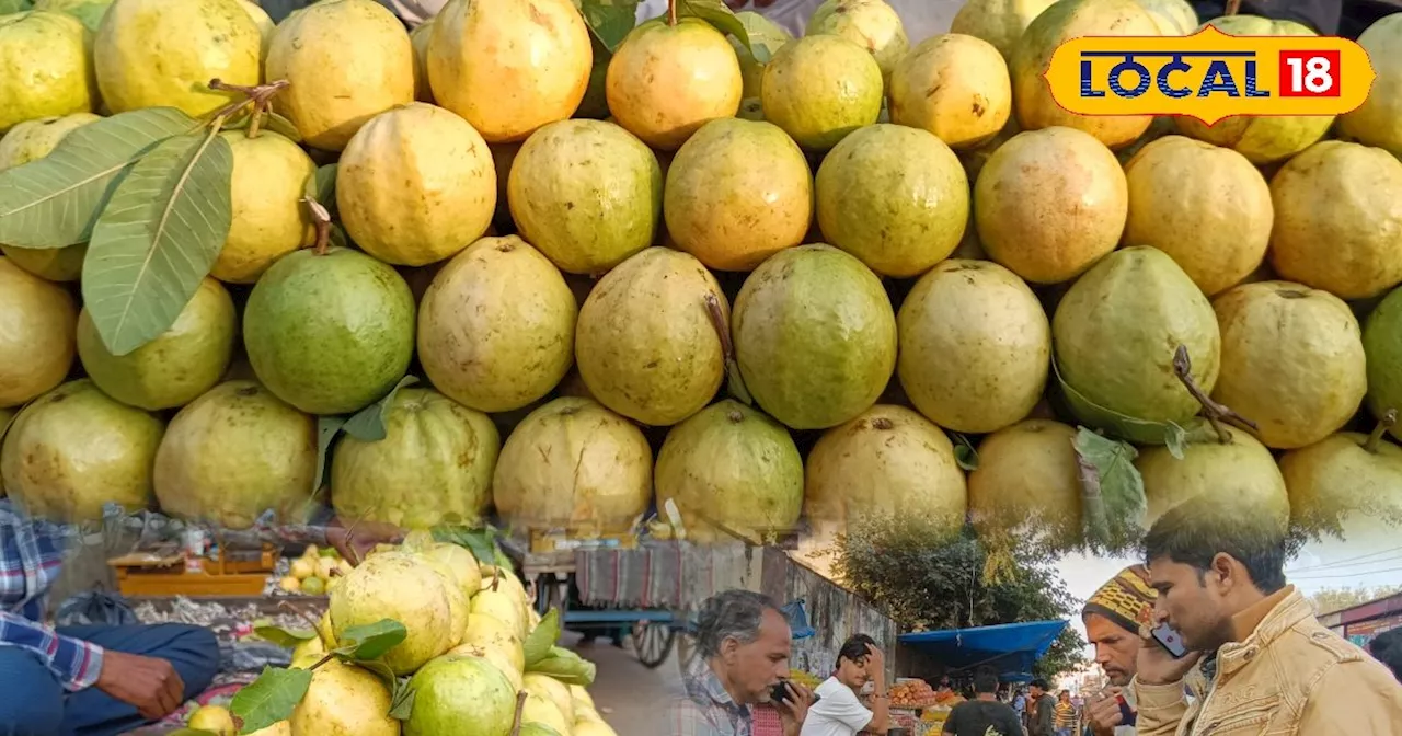 Special Guava: अपनी मिठास से धमाल मचा रहा सेब जैसा यह अमरूद, इसके गुलाबी रंग के दीवाने हैं लोग, यहां रोजाना...