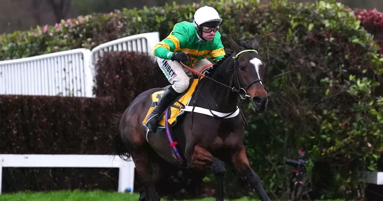 JP McManus-owned star Jonbon hits £1million with Tingle Creek Chase win