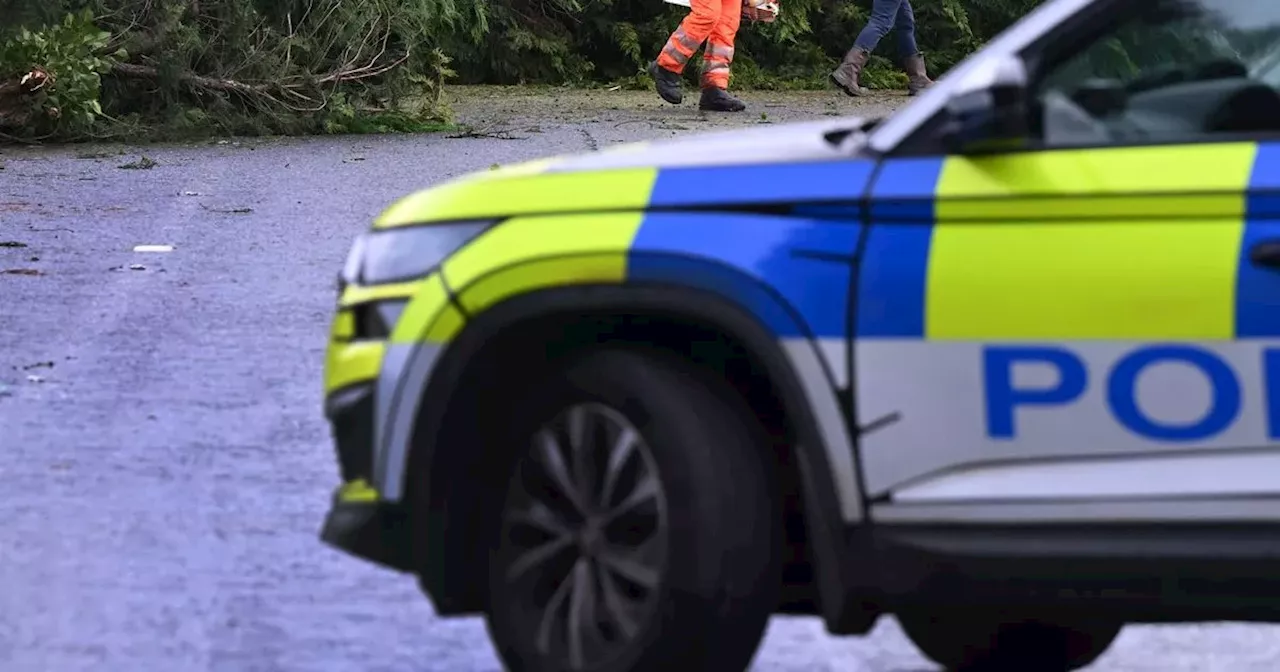 Man dies after tree falls on van as Storm Darragh continues to wreak havoc