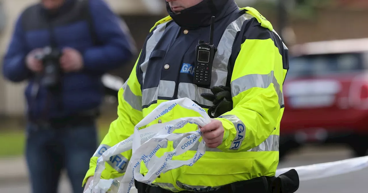 Man (20s) released without charge after being questioned over assault on woman in Newbridge