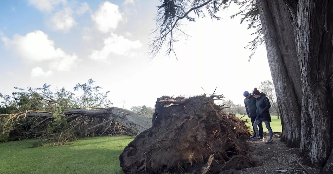 Storm Darragh: Power restoration could take days as forecaster warns ‘we’re not out of the woods yet’