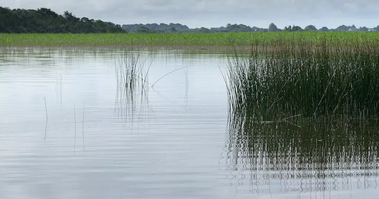 The lakes on our island are treasures in urgent need of protection