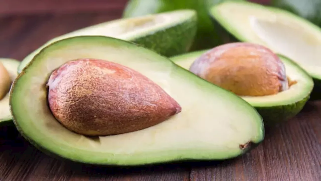 Avocado Seeds के फायदे जानकर नहीं करेंगे इसे फेंकने की गलती, कई बीमार‍ियों का है रामबाण इलाज