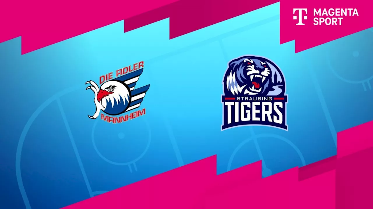 Highlights von Adler Mannheim - Straubing Tigers