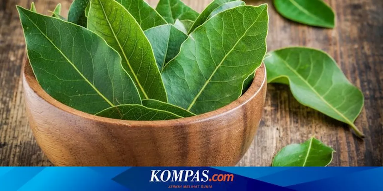 5 Manfaat Daun Salam untuk Kesehatan, Bantu Turunkan Kadar Gula Darah