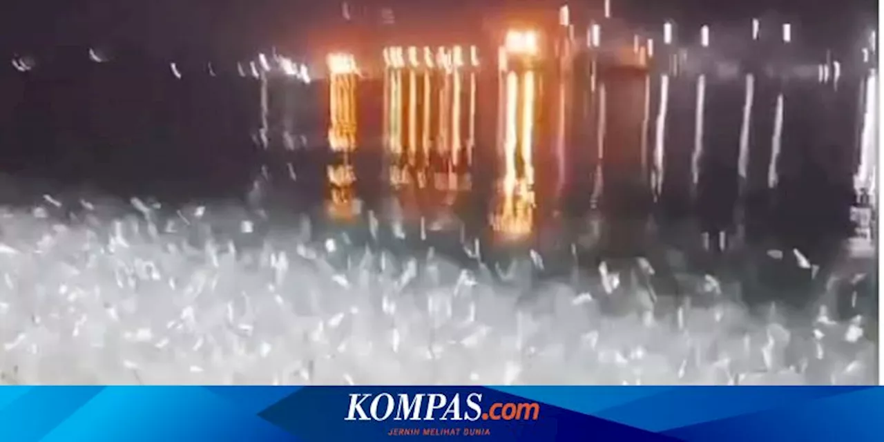 Viral, Video Ribuan Ikan Naik ke Daratan di Bandar Lampung, Pertanda Apa?