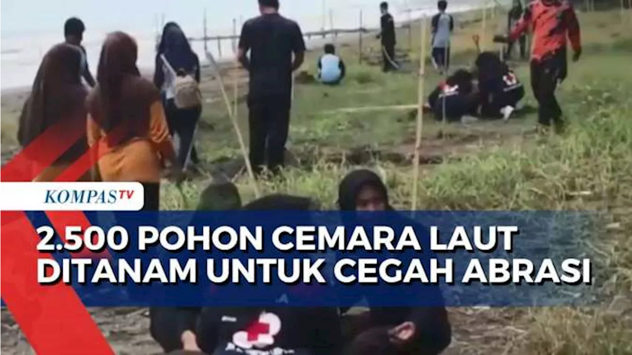 PT KITB Bersama Relawan dan Pelajar Gelar Penanaman 2.500 Pohon Cemara Laut di Pantai Jodo