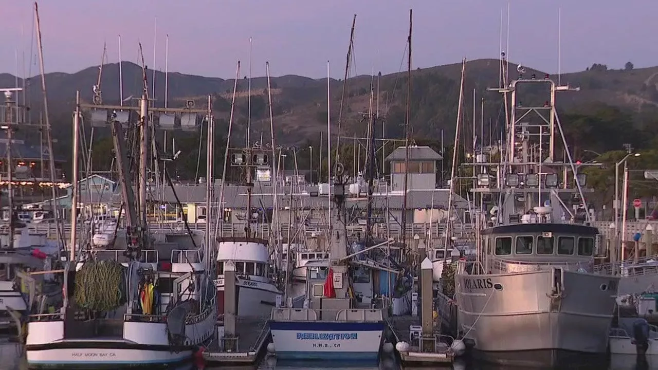 No crabs for holidays, Bay Area's dungeness crab season delayed once again