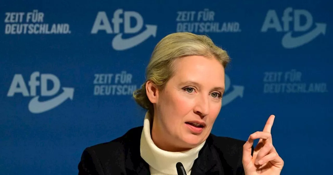 AfD-Kanzlerkandidatin: Wie tickt Alice Weidel?