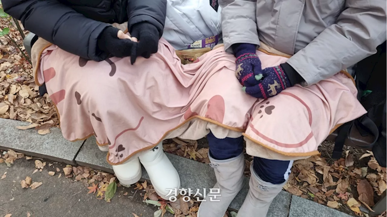 ‘3살에 계엄 직관’ ‘계엄 n회차 어르신’ ‘탄핵 친구’···세대·성별 불문 시민들