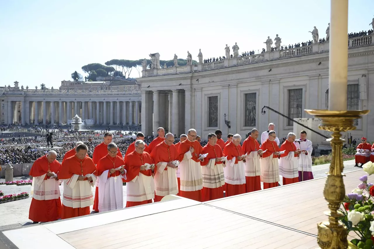 Nouveaux cardinaux : qui élira le prochain pape en cas de conclave ?