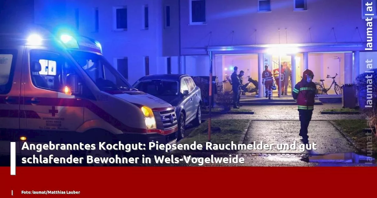 Angebranntes Kochgut: Piepsende Rauchmelder und gut schlafender Bewohner in Wels-Vogelweide