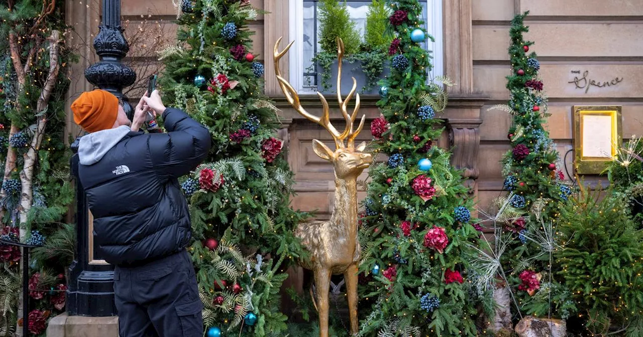 Noël : ces quatre questions à se poser avant d’acheter votre sapin