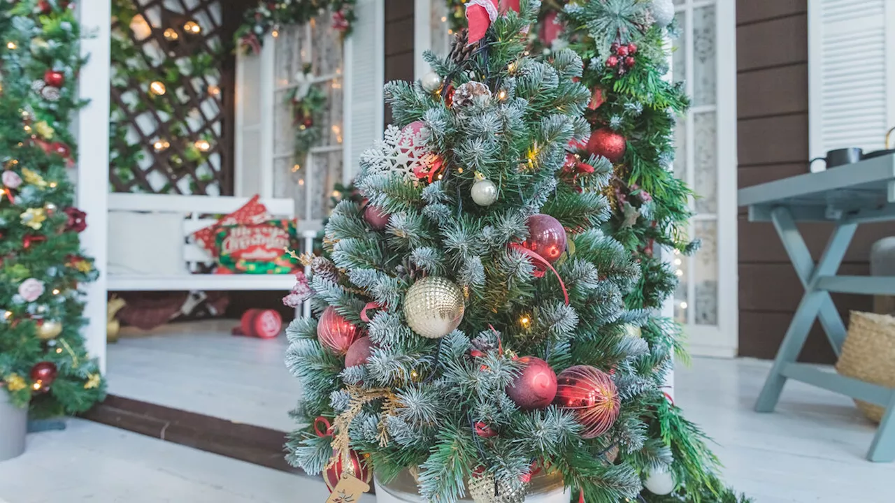 Vous voulez décorer votre jardin pour Noël : attention à bien respecter ces règles